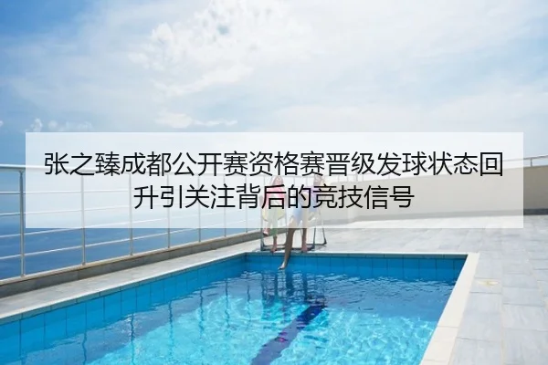 张之臻成都公开赛资格赛晋级发球状态回升引关注背后的竞技信号