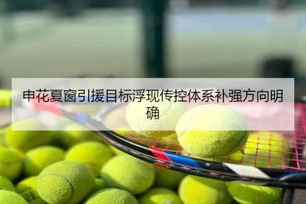 申花夏窗引援目标浮现传控体系补强方向明确