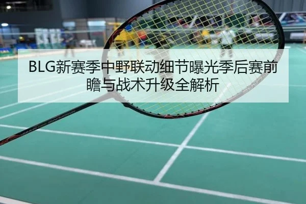 BLG新赛季中野联动细节曝光季后赛前瞻与战术升级全解析